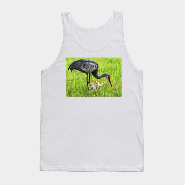 Sandhill crane parent with chick Tank Top by joesaladino